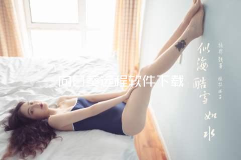 向日葵远程软件下载